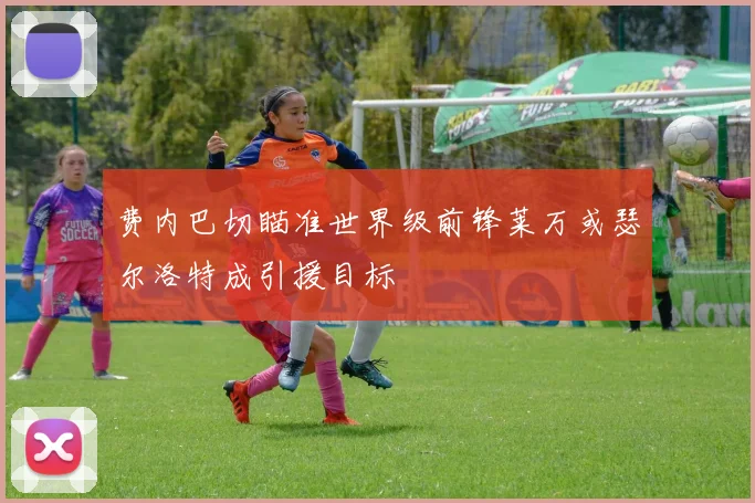 费内巴切瞄准世界级前锋莱万或瑟尔洛特成引援目标