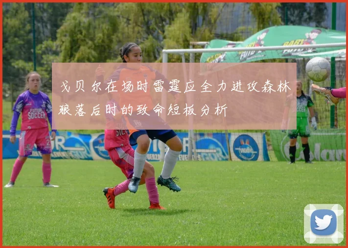 戈贝尔在场时雷霆应全力进攻森林狼落后时的致命短板分析