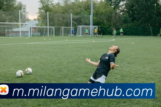 米兰体育平台生态图